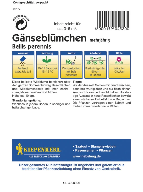 Bellis Perennis Wiesengänseblümchen 3 Bellis Perennis Wiesengänseblümchen