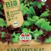 BIO Babyleafsalat, Kübelgeeinet, Schnellwüchsig, Für Mehrfache Ernten, Bio Saatgut Von Sperli
