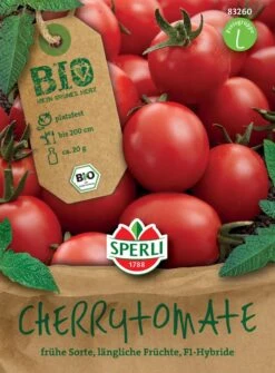 BIO Cherrytomate F1, Frühe Sorte Begeistert Mit Leuchtend Roten Länglichen Und Platzfesten Früchten, Sehr Ertragreich
