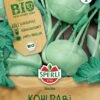 BIO Kohlrabi Weiß, Schossfest, Kübelgeeignet, Frühe Freilandsorte, Bio-Saatgut Von Sperli 1 BIO Kohlrabi Weiß, Schossfest, Kübelgeeignet, Frühe Freilandsorte, Bio-Saatgut Von Sperli -SaatWelt Verkäufe bio kohlrabi weiss