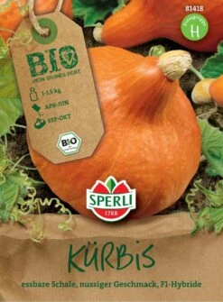 BIO Kürbis F1, Die Zwiebelförmigen Früchte Des Hokkaido-Kürbisses Werden Bis Zu 1,5 Kg Schwer 7 BIO Kürbis F1, Die Zwiebelförmigen Früchte Des Hokkaido-Kürbisses Werden Bis Zu 1,5 Kg Schwer -SaatWelt Verkäufe bio kuerbis f1