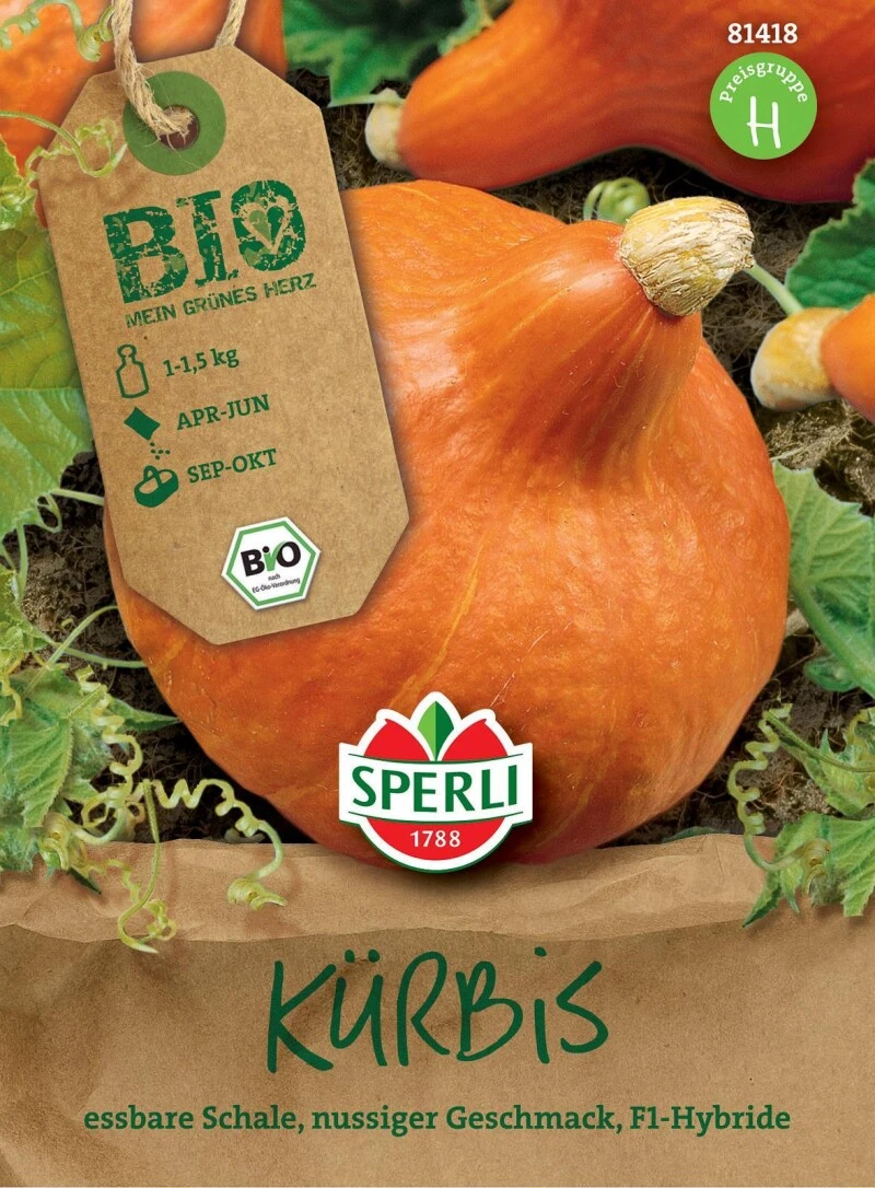 BIO Kürbis F1, Die Zwiebelförmigen Früchte Des Hokkaido-Kürbisses Werden Bis Zu 1,5 Kg Schwer 5 BIO Kürbis F1, Die Zwiebelförmigen Früchte Des Hokkaido-Kürbisses Werden Bis Zu 1,5 Kg Schwer – Bild 3