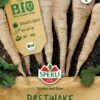 BIO Pastinake, Robuste Sorte, Sehr Vitaminreich, Bio Saatgut Von Sperli 1 BIO Pastinake, Robuste Sorte, Sehr Vitaminreich, Bio Saatgut Von Sperli -SaatWelt Verkäufe bio pastinake 1