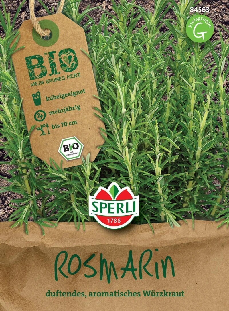 BIO Rosmarin, Intensiv Duftendes Immergrünes Würzkraut 5 BIO Rosmarin, Intensiv Duftendes Immergrünes Würzkraut – Bild 3