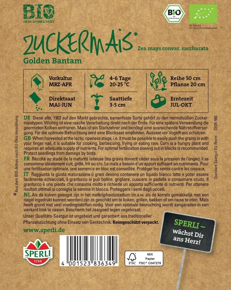 BIO Zuckermais, Sehr Alte Zuckermaissorte, Geschmacklich Süß Aber Trotzdem Noch Nach Mais 4 BIO Zuckermais, Sehr Alte Zuckermaissorte, Geschmacklich Süß Aber Trotzdem Noch Nach Mais – Bild 2