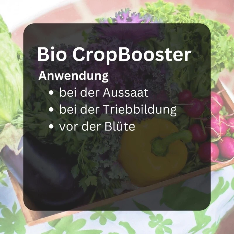 BioCropBooster 500 Ml Einzigartiger Biozertifizierter Kaliumdünger 4 BioCropBooster 500 Ml Einzigartiger Biozertifizierter Kaliumdünger – Bild 2