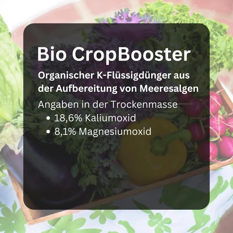 BioCropBooster 500 Ml Einzigartiger Biozertifizierter Kaliumdünger 8 BioCropBooster 500 Ml Einzigartiger Biozertifizierter Kaliumdünger – Bild 6