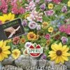 Blumenmischung Blühende Schneckenbarriere SPERLI's Schleich Dich Saatband 5mtr 1 Blumenmischung Blühende Schneckenbarriere SPERLI's Schleich Dich Saatband 5mtr -SaatWelt Verkäufe blumenmischung bluehende schneckenbarriere sperlis schleich dich