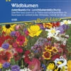 Blumenmischung Wildblumen Amerikanische Landblumen |für 3 - 5 M² | Zur Reinaussaat Auf Beeten 2 Blumenmischung Wildblumen Amerikanische Landblumen |für 3 - 5 M² | Zur Reinaussaat Auf Beeten -SaatWelt Verkäufe blumenmischung wildblumen amerikanische landblumen