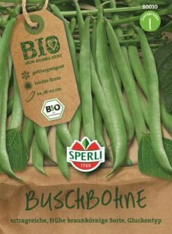 Buschbohne Grün Gluckentyp BIO