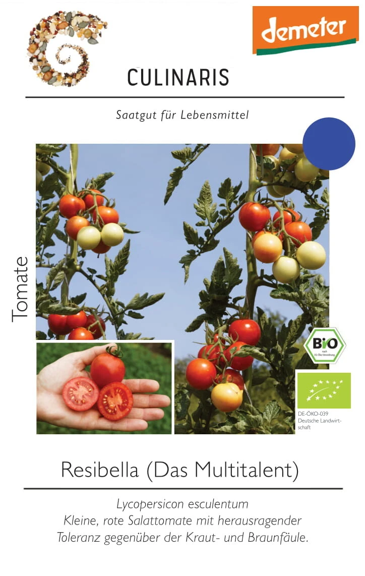 Freilandtomate Resibella Salattomate Besonders Resistent 3 Freilandtomate Resibella Salattomate Besonders Resistent