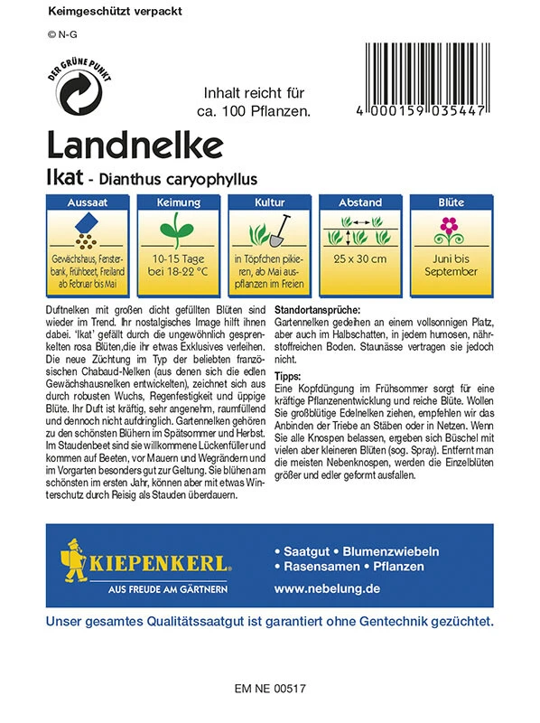 Dianthus Caryophyllus Beetnelke Ikat 4 Dianthus Caryophyllus Beetnelke Ikat – Bild 2