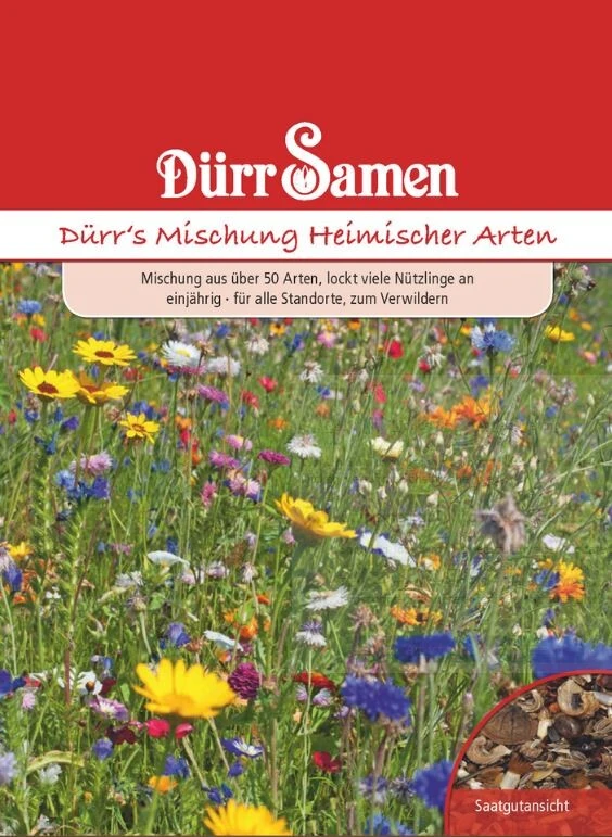 Dürr´s Sondermischung Heimischer Arten, Nektarquelle Für Viele Nützlinge, Reine Blumensamen Für Ca. 6m² 3 Dürr´s Sondermischung Heimischer Arten, Nektarquelle Für Viele Nützlinge, Reine Blumensamen Für Ca. 6m² – Bild 2