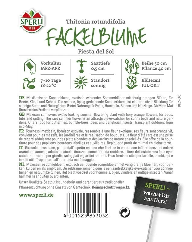 Fackelblume Fiesta Del Sol, Mexikanische Sonnenblume Mit Exotischem Aussehen, Nektar Für Nützlinge 3 Fackelblume Fiesta Del Sol, Mexikanische Sonnenblume Mit Exotischem Aussehen, Nektar Für Nützlinge