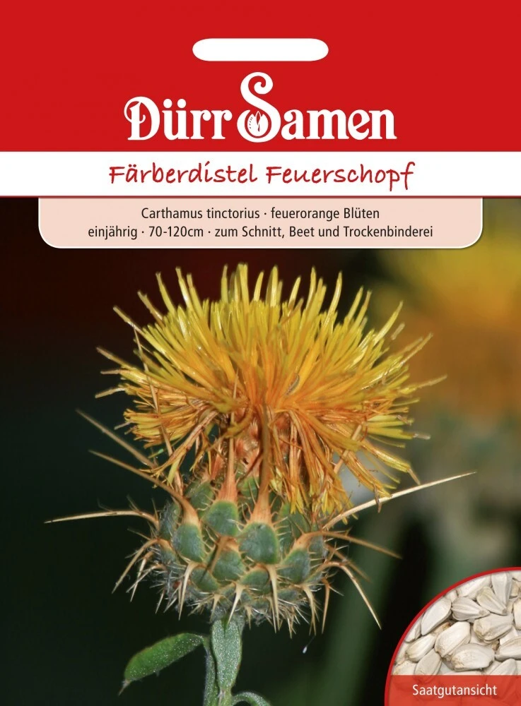 Färberdistel Feuerschopf Carthamus Tinctorius 3 Färberdistel Feuerschopf Carthamus Tinctorius