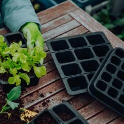 FAIR ZONE Verschiedene Größen Anzuchtschale, Saatgutschale Aus 100% Fair Gehandeltem Naturkautschuk