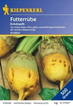 Futterrübe Eckdogelb 500 G, Gelbe Walzenförmige Runkelrübe, Bringt Reichlich Masse