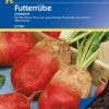 Futterrübe Eckdorot 35g Vorteilspack, Walzenförmige Runkelrübe Mit Reichlich Masse 1 Futterrübe Eckdorot 35g Vorteilspack, Walzenförmige Runkelrübe Mit Reichlich Masse -SaatWelt Verkäufe futterruebe eckdorot 35g