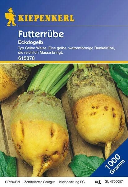 Futterrüben Eckdogelb 1kg 3 Futterrüben Eckdogelb 1kg