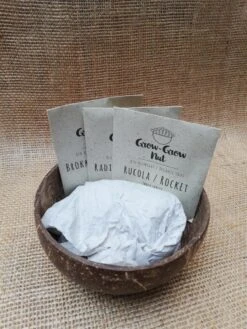 Grow-Grow Nut, Starterpaket, 1x Kokosnuss-Schale + 3x Bio-Saatgut (Brokkoli, Radieschen & Rucola) + 3x Kokoserde-Ziegel 11 Grow-Grow Nut, Starterpaket, 1x Kokosnuss-Schale + 3x Bio-Saatgut (Brokkoli, Radieschen & Rucola) + 3x Kokoserde-Ziegel -SaatWelt Verkäufe grow grow nut starterpaket3