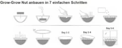 Grow-Grow Nut, Starterpaket, 1x Kokosnuss-Schale + 3x Bio-Saatgut (Brokkoli, Radieschen & Rucola) + 3x Kokoserde-Ziegel 15 Grow-Grow Nut, Starterpaket, 1x Kokosnuss-Schale + 3x Bio-Saatgut (Brokkoli, Radieschen & Rucola) + 3x Kokoserde-Ziegel -SaatWelt Verkäufe grow grow nut starterpaket7