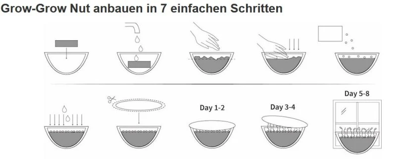 Grow-Grow Nut, Starterpaket, 1x Kokosnuss-Schale + 3x Bio-Saatgut (Brokkoli, Radieschen & Rucola) + 3x Kokoserde-Ziegel 9 Grow-Grow Nut, Starterpaket, 1x Kokosnuss-Schale + 3x Bio-Saatgut (Brokkoli, Radieschen & Rucola) + 3x Kokoserde-Ziegel – Bild 7