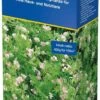 Gründünger Serradella, Inhalt 400 G Für 100 M², Gesunderhaltung Und Verbesserung Des Bodens 1 Gründünger Serradella, Inhalt 400 G Für 100 M², Gesunderhaltung Und Verbesserung Des Bodens -SaatWelt Verkäufe gruenduenger serradella 400 g