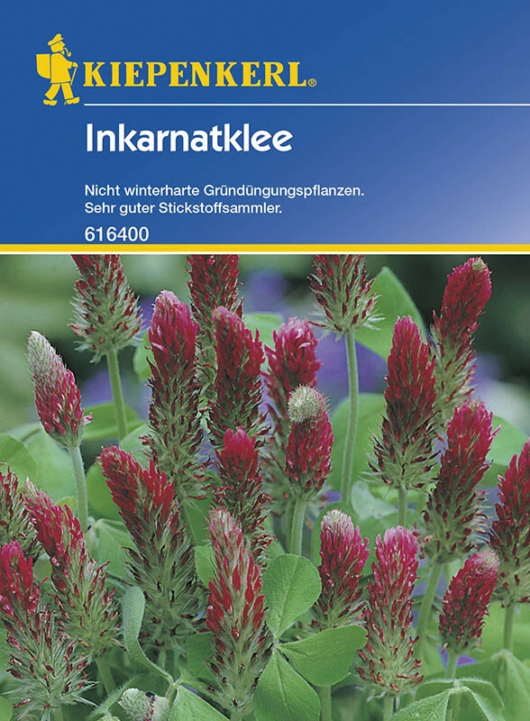 Inkarnatklee Gründünger Portion 75g 3 Inkarnatklee Gründünger Portion 75g