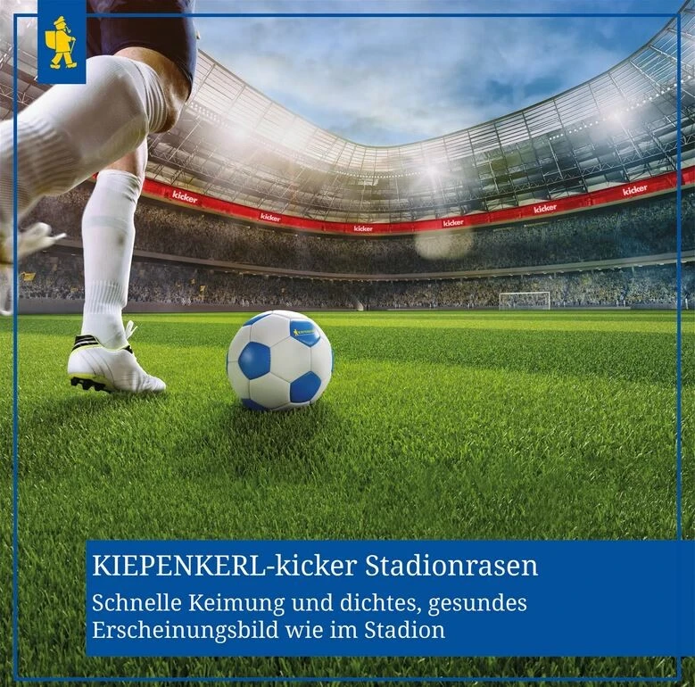 Kiepenkerl Kicker Stadionrasen, 1kg Für 50m², Rasensamen, Extrem Robust Und Belastbar 6 Kiepenkerl Kicker Stadionrasen, 1kg Für 50m², Rasensamen, Extrem Robust Und Belastbar – Bild 4