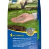 Kiepenkerl Frühstart Nachsaatrasen 1 Kg Für Ca. 35 M², Keimt Besonders Schnell Ab Bereits 6°C 2 Kiepenkerl Frühstart Nachsaatrasen 1 Kg Für Ca. 35 M², Keimt Besonders Schnell Ab Bereits 6°C -SaatWelt Verkäufe kiepenkerl fruehstart nachsaatrasen
