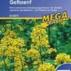 Gelbsenf Gründünger Einzelsaat 80g - 2 Kg Für 20 - 400 M² Fläche Nachhaltige Bodenverbesserung