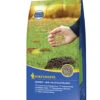 Kiepenkerl Herbst & Nachsaatrasen, Inhalt: 1Kg Für Ca. 50 M²