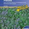 Phacelia Bienenweide Gründünger 50g - 2kg, Für 15 - 500 M², Insektenmagnet 2 Phacelia Bienenweide Gründünger 50g - 2kg, Für 15 - 500 M², Insektenmagnet -SaatWelt Verkäufe kiepenkerl phacelia vari