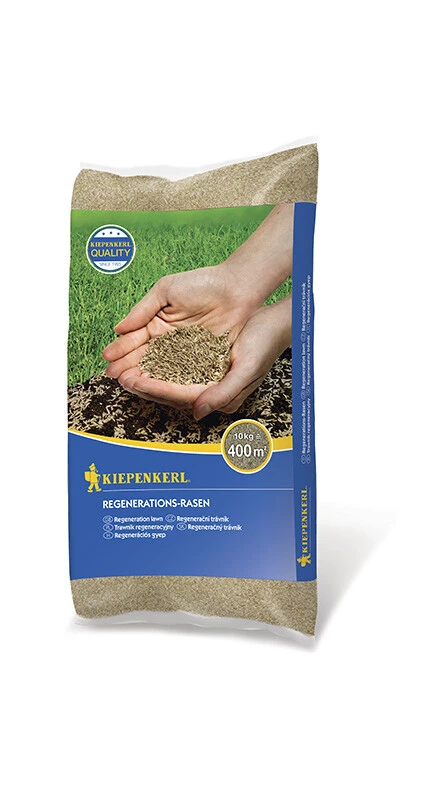 Kiepenkerl Regenerationsrasen 4 Kiepenkerl Regenerationsrasen – Bild 2
