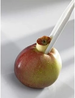 Börner Kombischäler, Grün, Sparschäler Für Obst & Gemüse Aus Rostfreiem Edelstahl