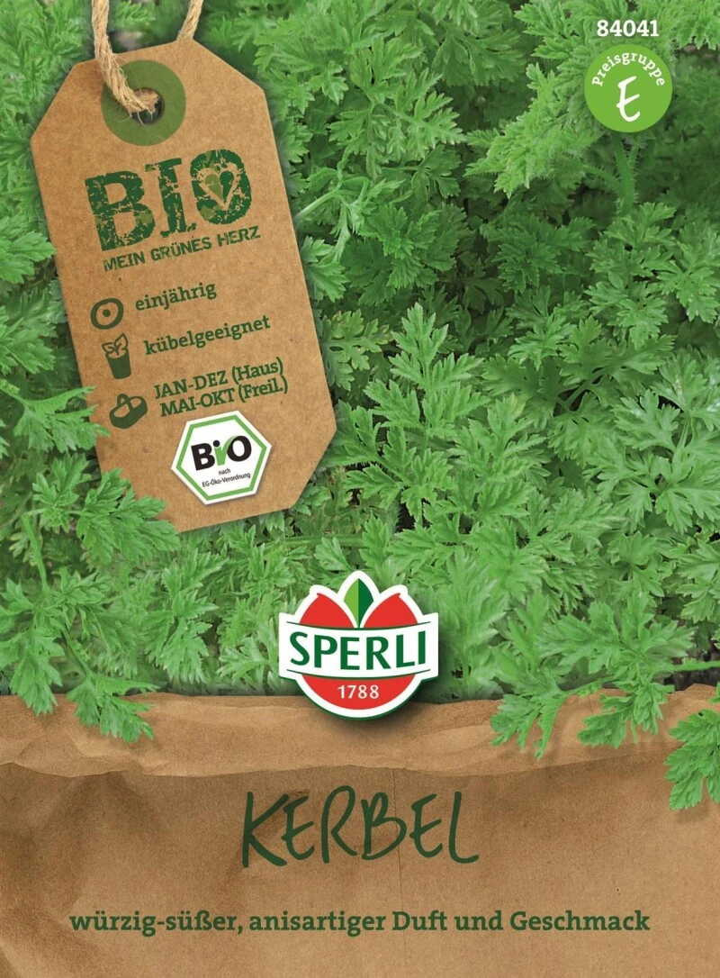 Kräuter Kerbel BIO, Ein Feines Zartes Würzkraut, Kräftig Grüne Blätter Duften Nach Anis 4 Kräuter Kerbel BIO, Ein Feines Zartes Würzkraut, Kräftig Grüne Blätter Duften Nach Anis – Bild 2
