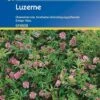 Luzerne Gründünger Einzelsaaten 50g - 1kg Für 25 - 500m²auch Als Eiweißreiche Futterpflanze Zu Verwenden -SaatWelt Verkäufe luzerne kiepenkerl vari