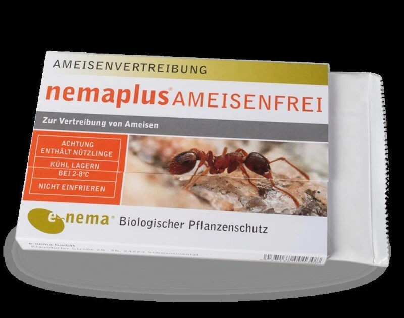 NemaPlus Ameisenfrei Biologische Ameisenvertreibung Durch SF Nematoden 9 NemaPlus Ameisenfrei Biologische Ameisenvertreibung Durch SF Nematoden – Bild 7