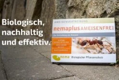 NemaPlus Ameisenfrei Biologische Ameisenvertreibung Durch SF Nematoden