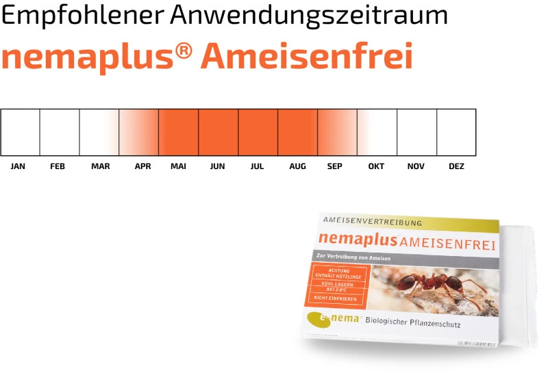 NemaPlus Ameisenfrei Biologische Ameisenvertreibung Durch SF Nematoden 7 NemaPlus Ameisenfrei Biologische Ameisenvertreibung Durch SF Nematoden – Bild 5