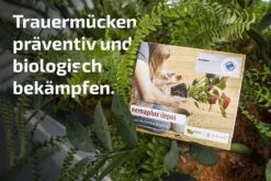 Nemaplus® Depot Präventive Trauermückenbekämpfung