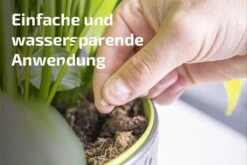 Nemaplus® Depot Präventive Trauermückenbekämpfung 10 Nemaplus® Depot Präventive Trauermückenbekämpfung -SaatWelt Verkäufe nemaplus depot praeventive trauermueckenbekaempfung4