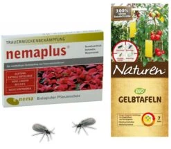 NemaPlus SF Nematoden + Naturen BIO Gelbtafeln (Inhalt: 7 Stück), Kombi-Packung Zur Trauermückenbekämpfung 7 NemaPlus SF Nematoden + Naturen BIO Gelbtafeln (Inhalt: 7 Stück), Kombi-Packung Zur Trauermückenbekämpfung -SaatWelt Verkäufe nemaplus sf nematoden naturen bio gelbtafeln inhalt 7 stueck kombi packung zur trauermueckenbekaempfung