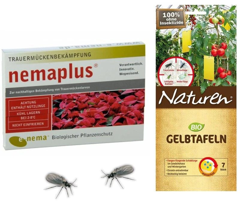 NemaPlus SF Nematoden + Naturen BIO Gelbtafeln (Inhalt: 7 Stück), Kombi-Packung Zur Trauermückenbekämpfung 5 NemaPlus SF Nematoden + Naturen BIO Gelbtafeln (Inhalt: 7 Stück), Kombi-Packung Zur Trauermückenbekämpfung – Bild 3