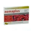 NemaPlus SF Nematoden + Nema-Quick (50 Ml) Kombi-Packung SF Nematoden Zur Bekämpfung Von Trauermücken 2 NemaPlus SF Nematoden + Nema-Quick (50 Ml) Kombi-Packung SF Nematoden Zur Bekämpfung Von Trauermücken -SaatWelt Verkäufe nemaplus sf nematoden nema quick 50 ml kombi packung sf nematoden zur bekaempfung von trauermuecken2