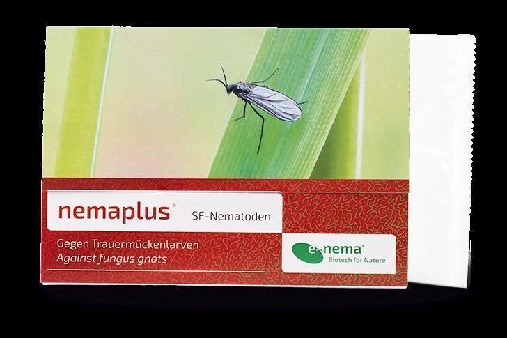 NemaPlus SF Nematoden Zur Bekämpfung Von Trauermücken 3 NemaPlus SF Nematoden Zur Bekämpfung Von Trauermücken