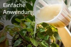 NemaPlus SF Nematoden Zur Bekämpfung Von Trauermücken 14 NemaPlus SF Nematoden Zur Bekämpfung Von Trauermücken -SaatWelt Verkäufe nemaplus sf nematoden zur bekaempfung von trauermuecken5