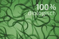 NemaPlus SF Nematoden Zur Bekämpfung Von Trauermücken 13 NemaPlus SF Nematoden Zur Bekämpfung Von Trauermücken -SaatWelt Verkäufe nemaplus sf nematoden zur bekaempfung von trauermuecken7