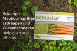 NemaStar SC Nematoden Zur Bekämpfung Von Maulwurfsgrillen Wiesenschnaken Und Erdraupen -SaatWelt Verkäufe nemastar sc nematoden zur bekaempfung von maulwurfsgrillen wiesenschnaken und erdraupen2