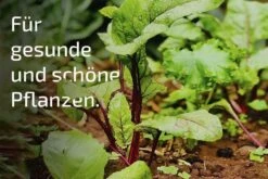 NemaStar SC Nematoden Zur Bekämpfung Von Maulwurfsgrillen Wiesenschnaken Und Erdraupen -SaatWelt Verkäufe nemastar sc nematoden zur bekaempfung von maulwurfsgrillen wiesenschnaken und erdraupen5